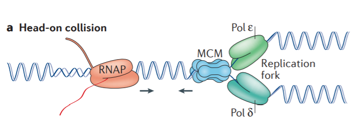 聽說又出現人類突破，癌癥被攻克了？